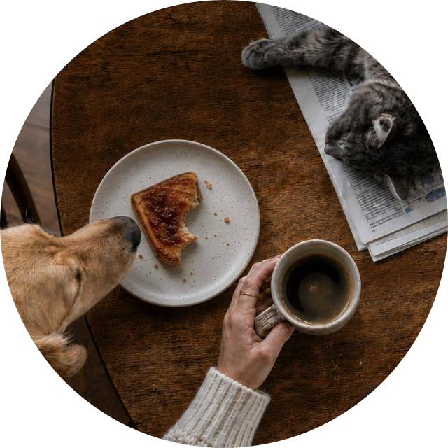 Morning at the table: a dog eyeing the toast, a cat lounging on the newspaper, and a cup of coffee